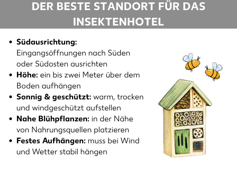 Infografik: Der beste Standort für das Insektenhotel. Die Grafik zeigt fünf Aufzählungspunkte auf weißem Hintergrund, rechts daneben eine Illustration eines Insektenhotels aus Holz sowie zwei gezeichnete Bienen. 1. Südausrichtung: Eingangsöffnungen nach Süden oder Südosten ausrichten. 2. Höhe: ein bis zwei Meter über dem Boden aufhängen. 3. Sonnig & geschützt: warm, trocken und windgeschützt aufstellen. 4. Nahe Blühpflanzen: in der Nähe von Nahrungsquellen platzieren. 5. Festes Aufhängen: muss bei Wind und Wetter stabil hängen.