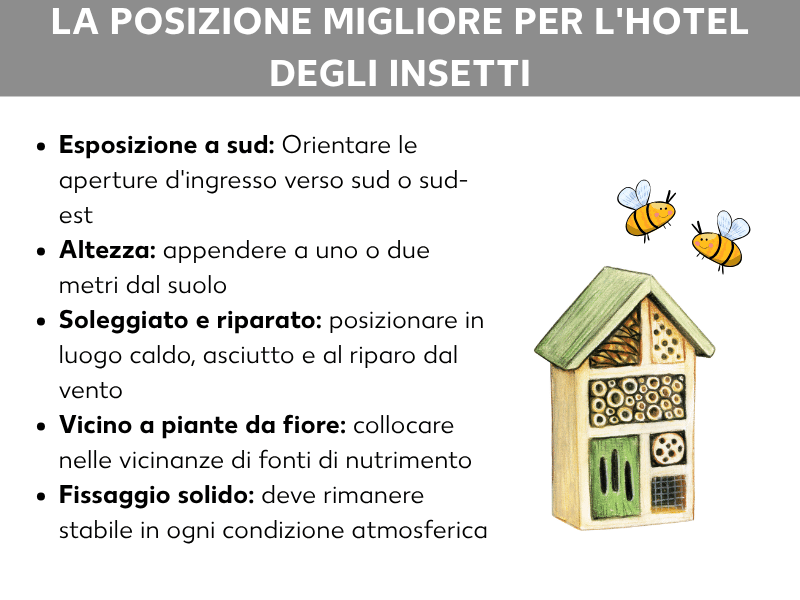 Infografica: dove posizionare l'hotel per insetti. La grafica mostra cinque punti su sfondo bianco, accanto all'illustrazione di un hotel per insetti in legno e due api disegnate. 1. Esposizione a sud: orientare le aperture verso sud o sud-est. 2. Altezza: appendere a uno o due metri dal suolo. 3. Soleggiato e riparato: posizionare in un punto caldo, asciutto e al riparo dal vento. 4. Vicino a piante fiorite: collocare nelle vicinanze di fonti di nutrimento. 5. Fissaggio stabile: deve restare saldo con qualsiasi condizione atmosferica.