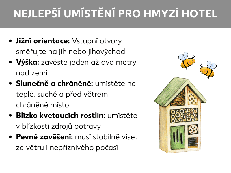 Infografika: Nejlepší umístění hmyzího hotelu. Grafika zobrazuje pět bodů na bílém pozadí, vedle nich ilustraci dřevěného hmyzího hotelu a dvě nakreslené včely. 1. Jižní orientace: Vstupní otvory nasměrovat na jih nebo jihovýchod. 2. Výška: Zavěsit jeden až dva metry nad zemí. 3. Slunečné a chráněné místo: Umístit na teplé, suché a závětrné místo. 4. Blízko kvetoucích rostlin: Umístit poblíž zdrojů potravy. 5. Pevné uchycení: Musí stabilně viset za každého počasí.