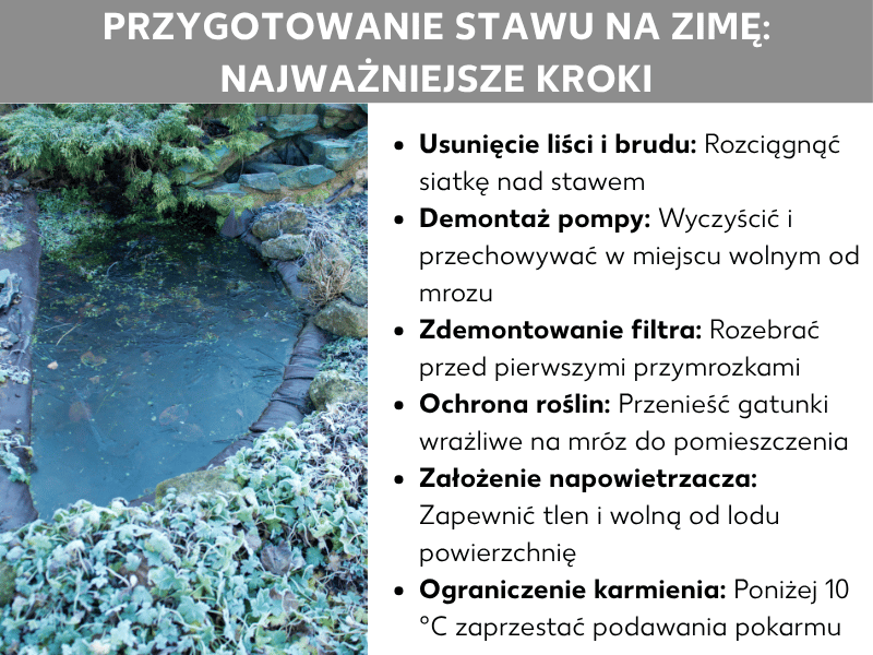 Infografika: Zimowanie stawu – najważniejsze kroki. Po lewej zdjęcie zimowego oczka wodnego z oszronionymi roślinami i kamieniami. Po prawej lista sześciu punktów: 1. Usuwanie liści i zanieczyszczeń: rozciągnij siatkę nad stawem. 2. Demontaż pompy: oczyść i przechowuj w miejscu wolnym od mrozu. 3. Demontaż filtra: zdejmij przed pierwszym mrozem. 4. Ochrona roślin: schowaj gatunki wrażliwe na mróz. 5. Zamontowanie napowietrzacza: zapewnij tlen i otwarte miejsce w lodzie. 6. Ograniczenie karmienia: poniżej 10°C nie podawaj karmy.
