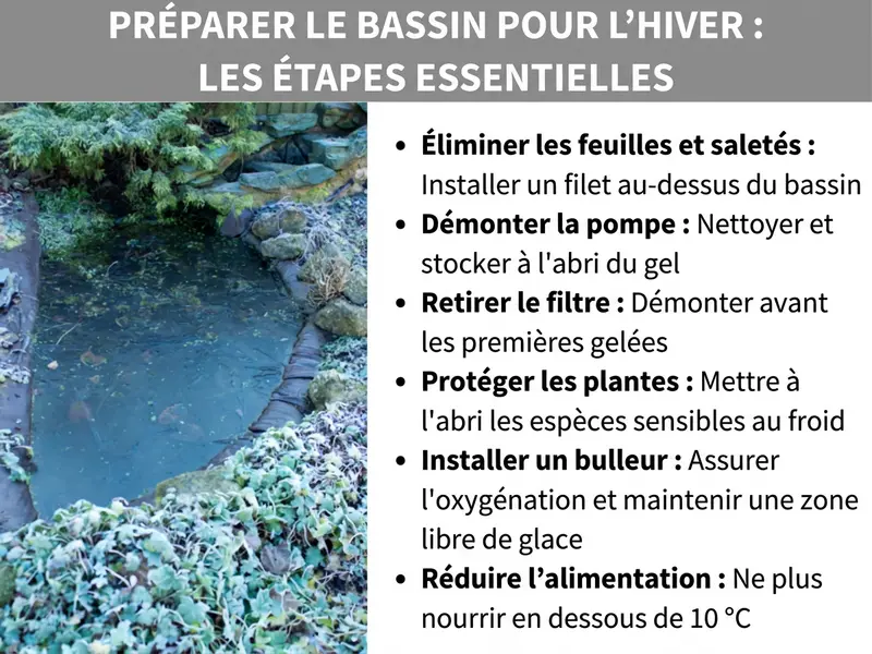 Infographie : hivernage bassin – les étapes essentielles. À gauche, photo d'un bassin de jardin en hiver avec des plantes givrées et des pierres. À droite, une liste de six points : 1. Retirer feuilles et débris : tendre un filet au-dessus du bassin. 2. Démonter la pompe : la nettoyer et la stocker à l'abri du gel. 3. Retirer le filtre : le démonter avant les premières gelées. 4. Protéger les plantes : mettre à l'abri les espèces sensibles au gel. 5. Installer un aérateur : assurer l'oxygénation et maintenir une ouverture dans la glace. 6. Réduire l'alimentation : ne plus nourrir les poissons en dessous de 10 °C.