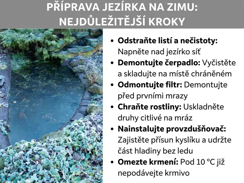 Infografika: Zazimování jezírka – nejdůležitější kroky. Vlevo fotografie zimního zahradního jezírka s ojíněnými rostlinami a kameny. Vpravo seznam šesti bodů: 1. Odstranit listí a nečistoty: Napnout síť přes jezírko. 2. Demontovat čerpadlo: Vyčistit a uložit mimo mráz. 3. Odmontovat filtr: Sundat před prvními mrazy. 4. Chránit rostliny: Uložit druhy citlivé na mráz. 5. Nasadit provzdušňovač: Zajistit kyslík a volnou plochu v ledu. 6. Omezit krmení: Pod 10 °C už nekrmit.