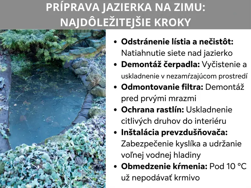 Infografika: Zazimovanie jazierka – najdôležitejšie kroky. Vľavo fotografia zimného záhradného jazierka s omrznutými rastlinami a kameňmi. Vpravo zoznam so šiestimi bodmi: 1. Odstrániť lístie a nečistoty: Napnúť sieťku nad jazierko. 2. Demontovať čerpadlo: Vyčistiť a uskladniť v bezmrazovom prostredí. 3. Odstrániť filter: Demontovať pred prvým mrazom. 4. Ochrániť rastliny: Uskladniť druhy citlivé na mráz. 5. Nasadiť prevzdušňovač: Zabezpečiť kyslík a voľnú plochu bez ľadu. 6. Obmedziť kŕmenie: Pod 10 °C už nekŕmiť.