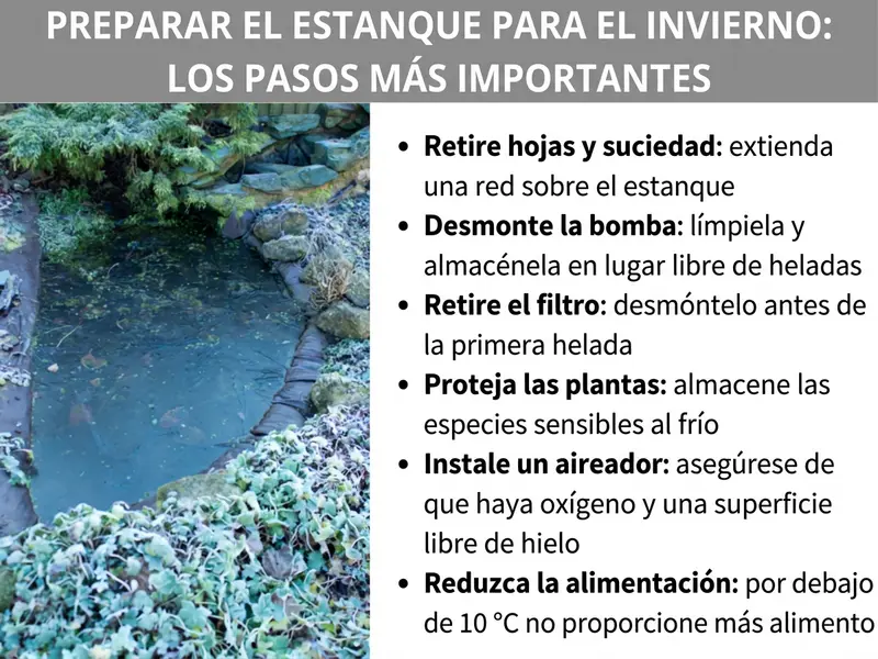 Infografía: Invernar estanque – los pasos más importantes. A la izquierda, una foto de un estanque de jardín en invierno con plantas y piedras cubiertas de escarcha. A la derecha, una lista con seis puntos: 1. Retirar hojas y suciedad: colocar una red sobre el estanque. 2. Desmontar la bomba: limpiarla y guardarla a salvo de las heladas. 3. Desmontar el filtro: retirarlo antes de las primeras heladas. 4. Proteger las plantas: almacenar las especies sensibles al frío. 5. Instalar un aireador: garantizar el oxígeno y mantener una zona libre de hielo. 6. Reducir la alimentación: no dar comida por debajo de 10 °C.