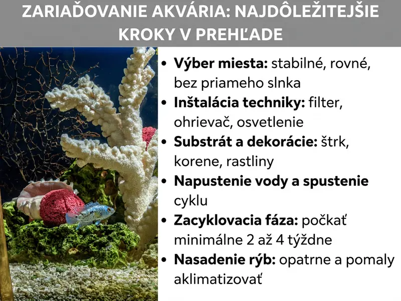 Infografika: Založenie akvária – najdôležitejšie kroky v prehľade: Zoznam obsahuje šesť bodov: 1. Výber miesta: stabilné, rovné, bez priameho slnka. 2. Inštalácia techniky: filter, ohrievač, osvetlenie. 3. Substrát a dekorácia: štrk, korene, rastliny. 4. Napustenie vody a spustenie kolobehu. 5. Zábehovacia fáza: minimálne dva až štyri týždne čakania. 6. Nasadenie rýb: opatrné a pomalé privykanie.