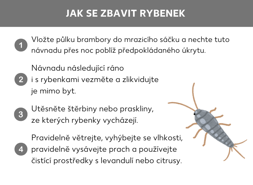 Informační grafika: Návod: Jak se zbavit rybenek 1. Do mrazicího sáčku vložte půlku brambory a návnadu přes noc umístěte poblíž místa, kde si myslíte, že se rybenky ukrývají. 2. Následující ráno vezměte návnadu i s rybenkami a vyhoďte ji mimo domov. 3. Utěsněte spáry nebo praskliny, odkud rybenky vylézají. 4. Pravidelně větrejte, vyhýbejte se vlhkosti, pravidelně vysávejte a používejte levandulové nebo citronové čisticí prostředky.