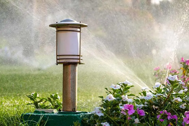 Lampe und Rasensprinkler