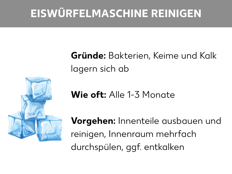 Infografik: Eiswürfelmaschine reinigen, Liste: Gründe: Bakterien, Keime und Kalk lagern sich ab, Wie oft: Alle 1-3 Monate, Vorgehen: Innenteile ausbauen und reinigen, Innenraum mehrfach durchspülen, ggf. entkalken, daneben Abbildung von Eiswürfeln