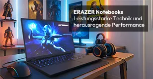 Medion Erazer Laptop
