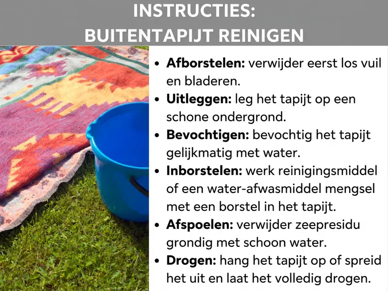 Infographic: Instructie voor het schoonmaken van een outdoorkleed in zes stappen: afborstelen, uitleggen, bevochtigen, inschrobben, afspoelen en laten drogen. Op de achtergrond is een kleurrijk kleed op een gazon te zien naast een blauwe emmer.