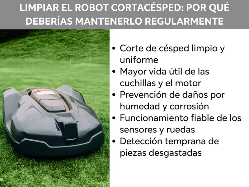 Infografía: limpiar robot cortacésped: por qué deberías mantenerlo con regularidad. La imagen muestra a la izquierda una foto de un robot cortacésped negro sobre césped verde. A la derecha, una lista con cinco puntos: 1. Corte del césped limpio y uniforme. 2. Mayor vida útil de las cuchillas y del motor. 3. Prevención de daños por humedad y corrosión. 4. Funcionamiento fiable de los sensores y las ruedas. 5. Detección temprana de piezas desgastadas.
