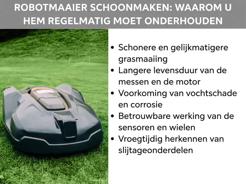 Infographic: Robotmaaier reinigen: daarom is regelmatig onderhoud belangrijk. De afbeelding toont links een foto van een zwarte robotmaaier op een groen gazon. Rechts daarnaast een opsomming met vijf punten: 1. Schoon en gelijkmatig maairesultaat. 2. Langere levensduur van de messen en de motor. 3. Voorkomen van vochtschade en corrosie. 4. Betrouwbare werking van de sensoren en wielen. 5. Vroegtijdig herkennen van slijtagedelen.