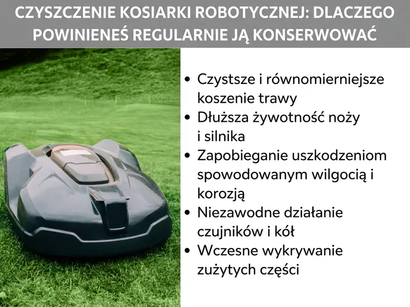 Infografika: Korzyści z regularnego czyszczenia robota koszącego. Wymienione zalety to: czyste koszenie, dłuższa żywotność, zapobieganie uszkodzeniom, niezawodne działanie czujników i wczesne wykrywanie zużycia.
