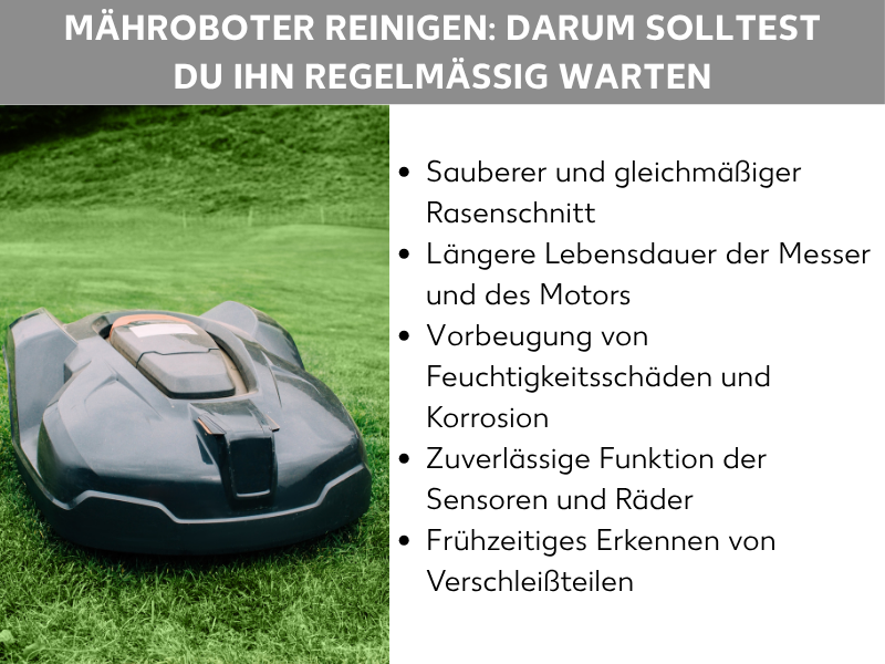 Infografik: Mähroboter reinigen: darum solltest du ihn regelmäßig warten. Die Grafik zeigt links ein Foto eines schwarzen Mähroboters auf einem grünen Rasen. Rechts daneben eine Aufzählung mit fünf Punkten: 1. Sauberer und gleichmäßiger Rasenschnitt. 2. Längere Lebensdauer der Messer und des Motors. 3. Vorbeugung von Feuchtigkeitsschäden und Korrosion. 4. Zuverlässige Funktion der Sensoren und Räder. 5. Frühzeitiges Erkennen von Verschleißteilen.