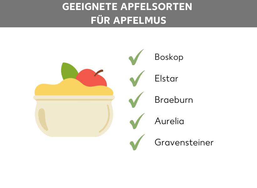 Infografik: Geeignete Apfelsorten für Apfelmus, eine Comic-Grafik mit einer Schale Apfelmus und einem Apfel, daneben folgende Punkte: Boskop, Elstar, Braeburn, Aurelia, Gravensteiner.