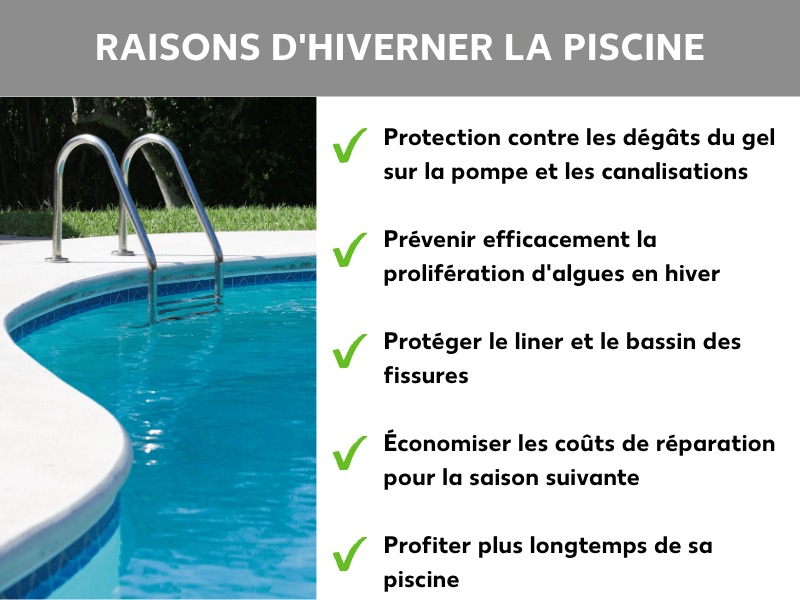 Infographie « Pourquoi hiverner sa piscine » : à gauche, photo d'une échelle en inox dans une piscine extérieure bleue. À droite, une liste avec cinq coches vertes : 1. Protéger la pompe et les canalisations du gel. 2. Empêcher la prolifération des algues en hiver. 3. Préserver le liner et la structure contre les fissures. 4. Éviter des frais de réparation à la saison suivante. 5. Prolonger la durée de vie de votre piscine.