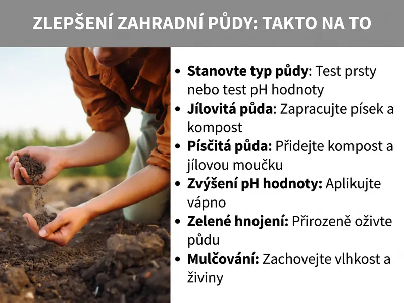 Infografika „Úprava zahradní půdy" – osoba drží v rukou zeminu a šest tipů: určení typu půdy (test prsty nebo pH test), vylepšení jílovité půdy pískem a kompostem, obohacení písčité půdy kompostem a jílovým práškem, zvýšení pH vápnem, zelené hnojení k oživení půdy a mulčování pro udržení vlhkosti a živin.