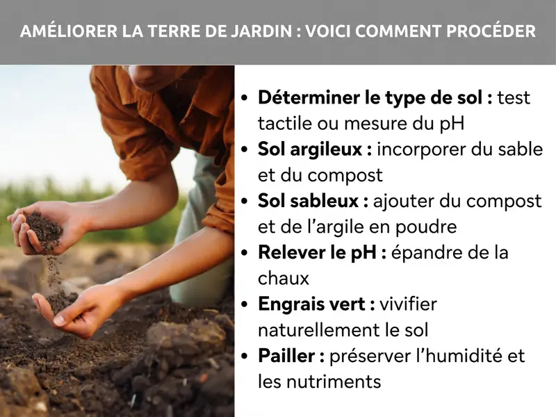 Infographie « Améliorer le sol de son jardin : guide pratique » montrant une personne tenant de la terre dans ses mains, accompagnée de six conseils : identifier le type de sol (test du toucher ou test de pH), enrichir un sol argileux avec du sable et du compost, amender un sol sableux avec du compost et de la poudre d'argile, relever le pH avec de la chaux, semer des engrais verts pour régénérer le sol, et pailler pour conserver l'humidité et les nutriments.