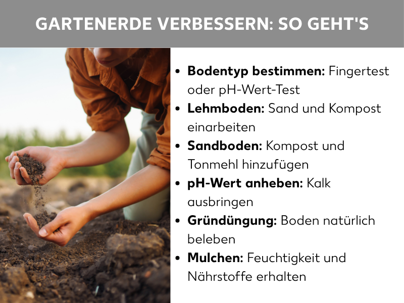 Infografik „Gartenerde verbessern: So geht's" mit einer Person, die Erde in den Händen hält, und sechs Tipps: Bodentyp bestimmen (Fingertest oder pH-Wert-Test), Lehmboden mit Sand und Kompost verbessern, Sandboden mit Kompost und Tonmehl anreichern, pH-Wert mit Kalk anheben, Gründüngung zur Bodenbelebung sowie Mulchen zum Erhalt von Feuchtigkeit und Nährstoffen.