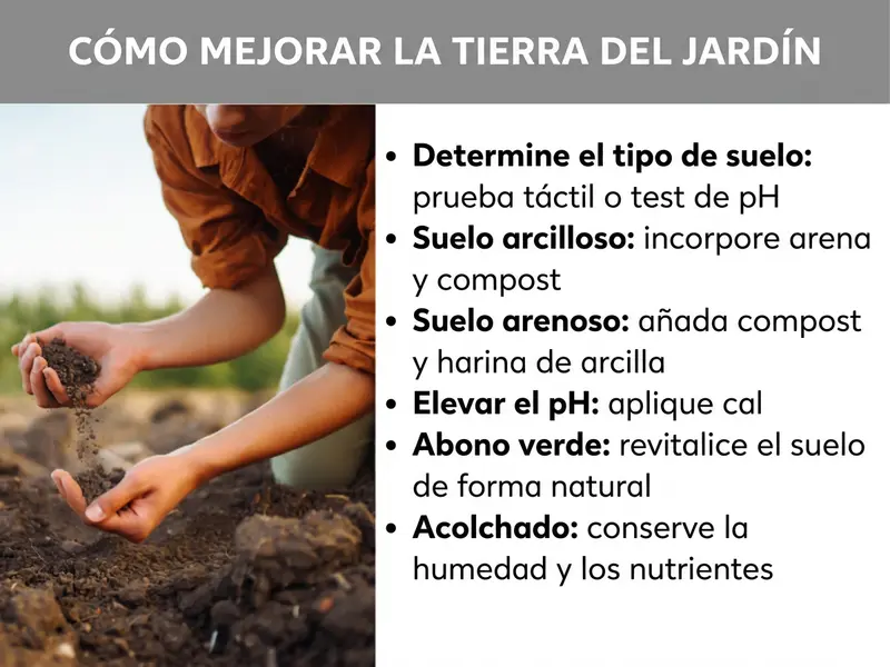 Infografía «Mejorar el suelo del jardín: así se hace» con una persona sosteniendo tierra en las manos y seis consejos: determinar el tipo de suelo (prueba con los dedos o test de pH), mejorar suelos arcillosos con arena y compost, enriquecer suelos arenosos con compost y harina de arcilla, elevar el pH con cal, abono verde para revitalizar el suelo y acolchado para conservar la humedad y los nutrientes.