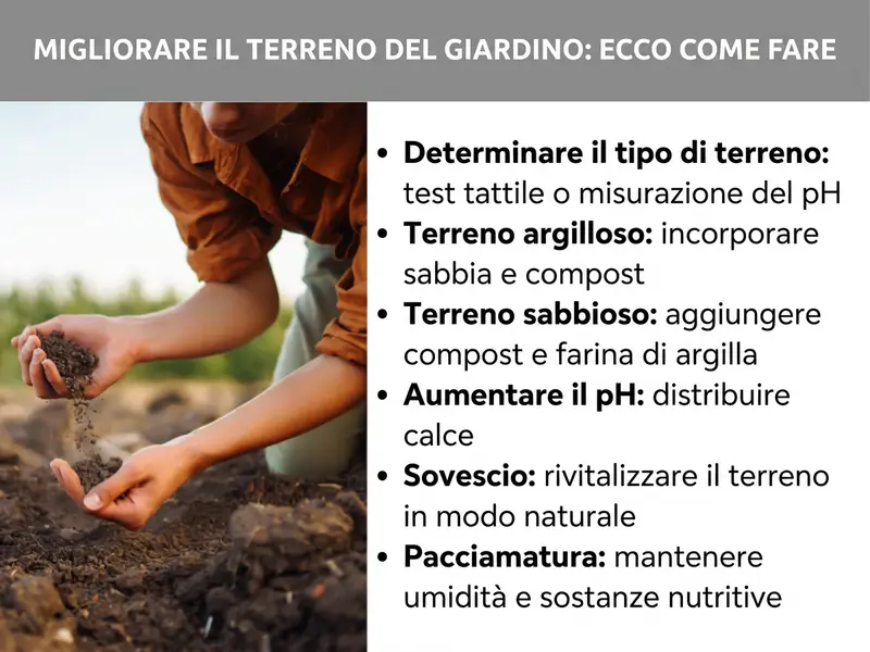 Infografica „Come migliorare il terreno del giardino“ con una persona che tiene della terra tra le mani e sei consigli: determinare il tipo di suolo (test con le dita o test del pH), migliorare il terreno argilloso con sabbia e compost, arricchire quello sabbioso con compost e farina di argilla, alzare il pH con la calce, ricorrere al sovescio per rivitalizzare il suolo e pacciamare per trattenere umidità e nutrienti.