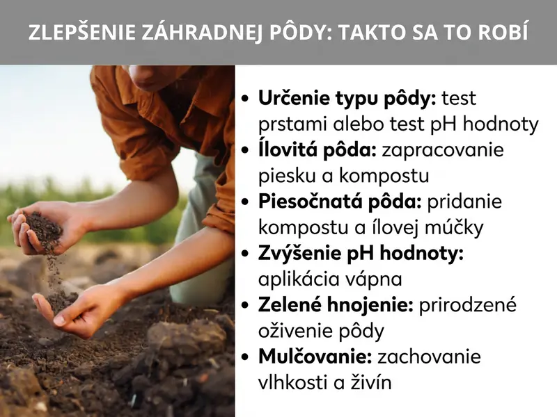 Infografika „Zlepšenie záhradnej pôdy: Ako na to" so zobrazením osoby, ktorá drží v rukách zeminu, a šiestimi tipmi: určenie typu pôdy (test prstami alebo test pH), zlepšenie ílovitej pôdy pieskom a kompostom, obohatenie piesočnatej pôdy kompostom a ílovitou múčkou, zvýšenie pH vápnom, zelené hnojenie na oživenie pôdy a mulčovanie na udržanie vlhkosti a živín.