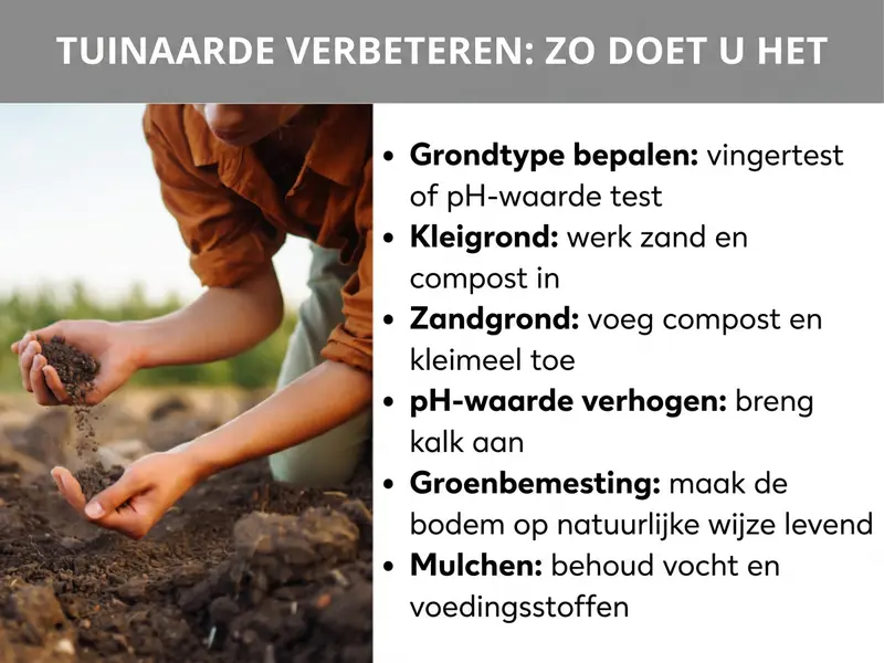 Infographic "Tuinaarde verbeteren: zo doe je dat" met een persoon die aarde in de handen houdt, en zes tips: bodemtype bepalen (vingertest of pH-waarde-test), kleigrond verbeteren met zand en compost, zandgrond verrijken met compost en kleimeel, pH-waarde verhogen met kalk, groenbemesting voor een levendige bodem en mulchen om vocht en voedingsstoffen vast te houden.