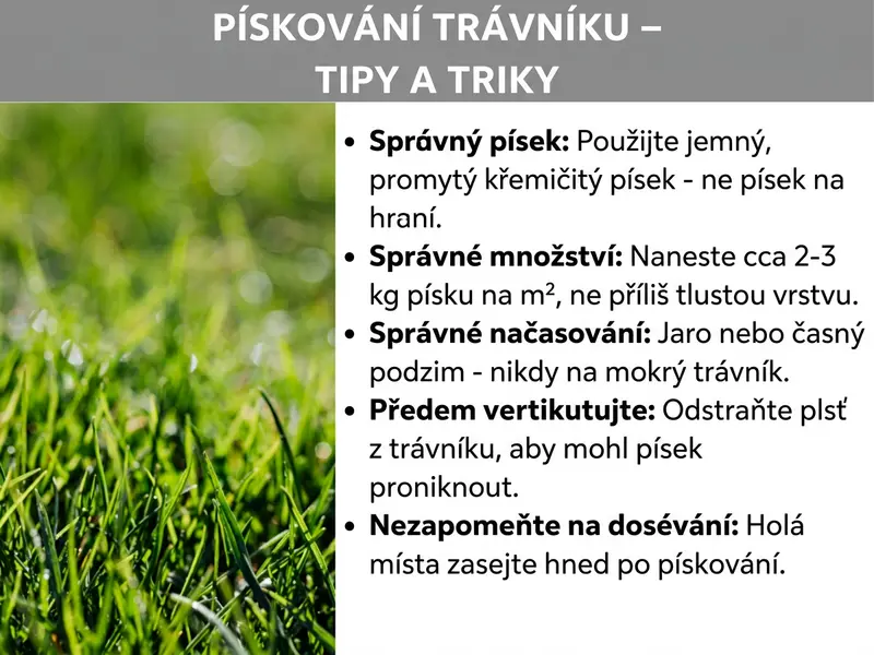 Infografika: Infografika na téma „Pískování trávníku – tipy a triky". Název je bílým tučným písmem na šedém pozadí. Vlevo je fotografie sytě zeleného trávníku zblízka. Vpravo je pět bodů s tučnými pojmy a vysvětlujícím textem: Správný písek – používejte jemný, praný křemičitý písek, ne písek na pískoviště. Správné množství – naneste přibližně 2–3 kg písku na m², ne příliš silnou vrstvu. Správný čas – jaro nebo začátek podzimu, nikdy na mokrý trávník. Nejdřív vertikutovat – odstraňte travní plsť, aby písek mohl proniknout do půdy. Nezapomeňte dosít – holá místa osetě ihned po pískování.