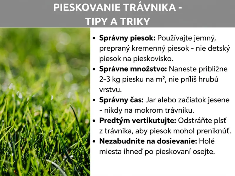 Infografika: Infografika na tému „Pieskovanie trávnika – tipy a triky“. Nadpis je napísaný bielym tučným písmom na sivom pozadí. Vľavo je fotografia sýtozeleného trávnika zblízka. Vpravo je päť bodov s tučnými pojmami a vysvetľujúcimi textami: Správny piesok – používajte jemný, praný kremičitý piesok, nie piesok na hranie. Správne množstvo – naneste približne 2 – 3 kg piesku na m², nie príliš hrubú vrstvu. Správny čas – jar alebo začiatok jesene, nikdy na mokrý trávnik. Najskôr vertikutovať – odstráňte trávnu plsť, aby piesok mohol preniknúť do pôdy. Nezabudnite dosiať – holé miesta zasiajte ihneď po pieskovaní.