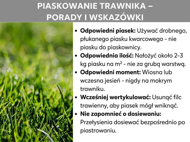 Infografika: Infografika na temat „Piaskowanie trawnika – porady i wskazówki". Tytuł zapisany białą, pogrubioną czcionką na szarym tle. Po lewej stronie zdjęcie bujnej, zielonej trawy z bliska. Po prawej pięć punktów z pogrubionymi hasłami i objaśnieniami: Odpowiedni piasek – używaj drobnego, płukanego piasku kwarcowego, nie piasku do piaskownicy. Odpowiednia ilość – rozsyp ok. 2–3 kg piasku na m², nie za grubą warstwą. Odpowiedni moment – wiosna lub wczesna jesień, nigdy na mokrym trawniku. Wcześniej wertykutuj – usuń filc trawnikowy, aby piasek mógł wniknąć w glebę. Nie zapomnij dosiać – łyse miejsca zasiej od razu po piaskowaniu.