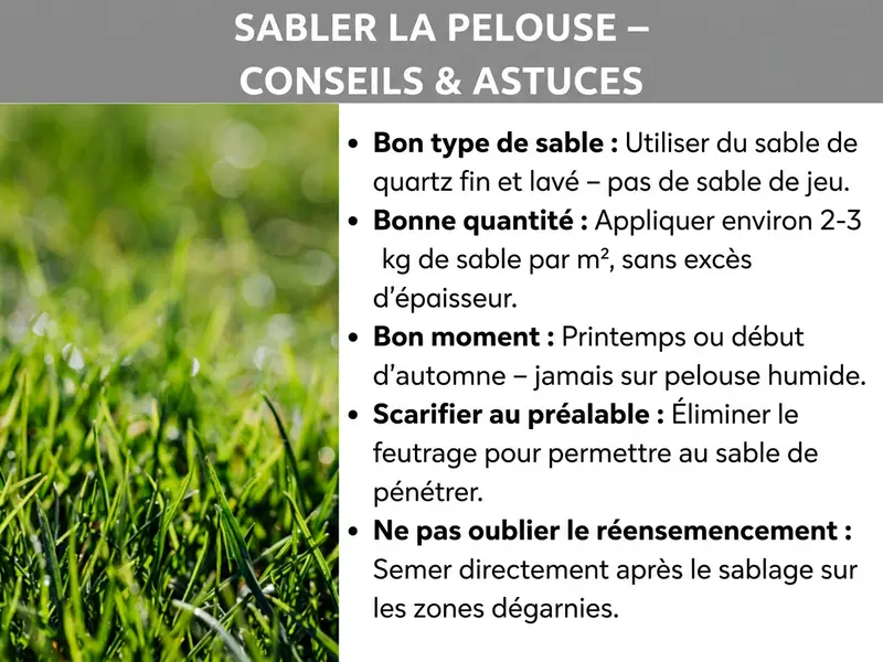 Infographie : une infographie sur le thème « Sablage gazon – astuces et conseils ». Le titre apparaît en gras blanc sur fond gris. À gauche, une photo en gros plan d'un gazon vert et dense. À droite, cinq points clés avec des termes en gras et des explications : Le bon sable – utiliser du sable de quartz fin et lavé, pas du sable de jeu. La bonne quantité – environ 2 à 3 kg de sable par m², sans excès. Le bon moment – au printemps ou au début de l'automne, jamais sur un gazon humide. Scarifier avant – retirer le feutrage pour que le sable pénètre bien. Ne pas oublier de réensemencer – semer les zones dégarnies juste après le sablage.