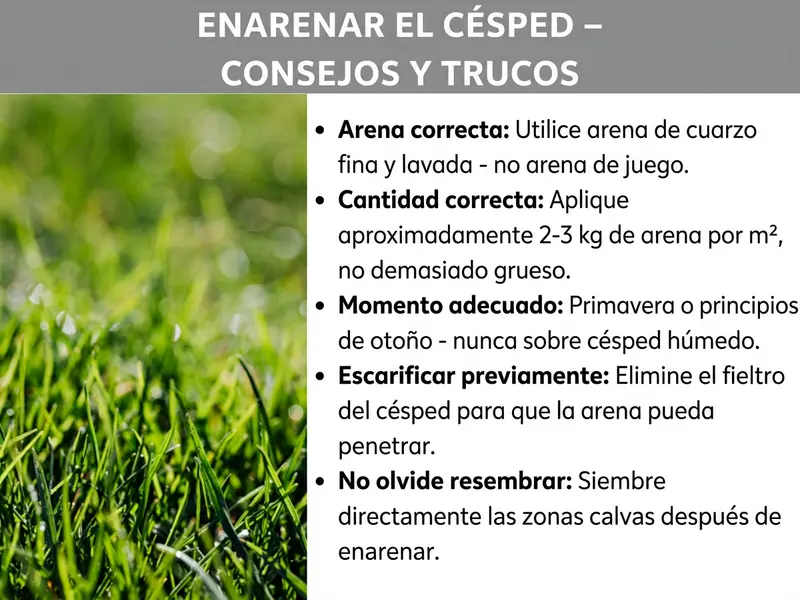 Infografía: infografía sobre el tema «Arenado de césped: consejos y trucos». El título aparece en letra blanca y negrita sobre fondo gris. A la izquierda se muestra una foto de césped verde intenso en primer plano. A la derecha figuran cinco puntos con términos en negrita y textos explicativos: Arena adecuada: utilizar arena de cuarzo fina y lavada, no arena de juego. Cantidad correcta: aplicar entre 2 y 3 kg de arena por m², sin excederse. Momento idóneo: primavera o inicio del otoño, nunca con el césped mojado. Escarificar antes: retirar el fieltro del césped para que la arena penetre. No olvidar resembrar: sembrar las calvas justo después del arenado.