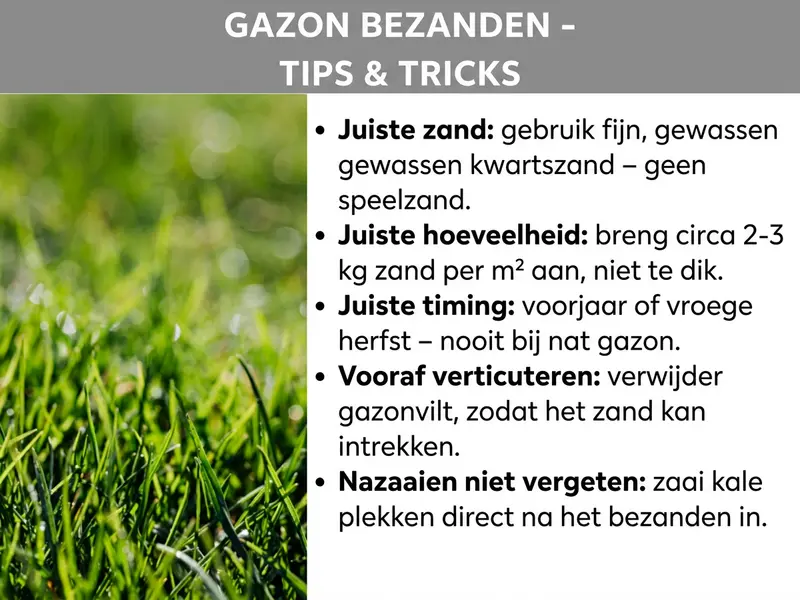 Infographic met tips voor het zanden van je gazon. De vijf belangrijkste punten zijn: het juiste zand (kwartszand), de juiste hoeveelheid (2-3 kg/m²), het juiste moment (voor- of najaar), eerst verticuteren en kale plekken bijzaaien.