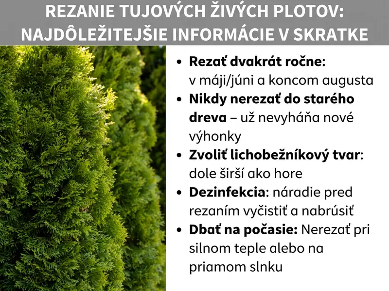Infografika: Prehľad na tému „Strihanie tují: Najdôležitejšie informácie v kocke". Vľavo je fotografia hustého, zeleného živého plotu z tují. Vpravo je päť bodov: Strihajte dvakrát ročne – v máji/júni a koncom augusta. Nikdy nestrihajte do starého dreva – už znovu neobrastie. Zvoľte lichobežníkový tvar – dole širší ako hore. Dezinfekcia – náradie pred strihom vyčistite a nabrúste. Sledujte počasie – nestrihajte pri silnom teple ani na priamom slnku.