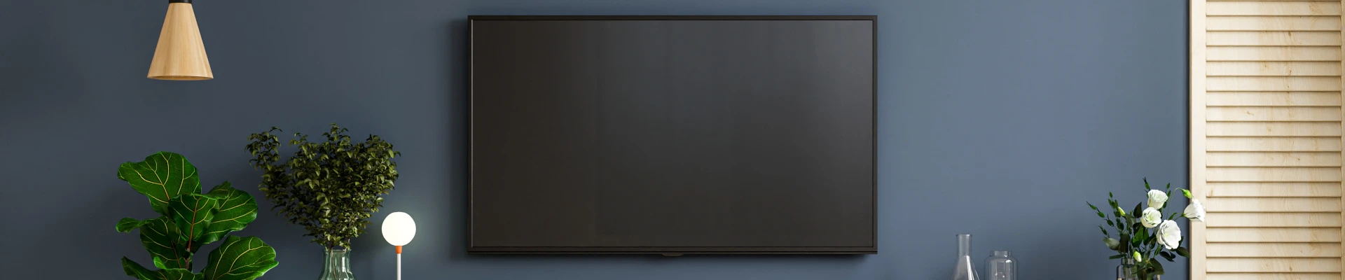 Schmuckbild: Dunkelblaue Wand, auf der ein Fernseher montiert ist. Daneben sind Zimmerpflanzen sowie mehrere Dekorationsartikel zu sehen.