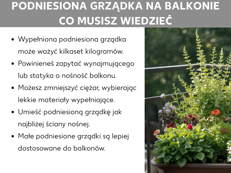 Infografika: Grządka podwyższona na balkonie – co musisz wiedzieć. Lista obejmuje pięć punktów: 1. Wypełniona grządka podwyższona może ważyć kilkaset kilogramów. 2. Sprawdź nośność balkonu u zarządcy budynku lub inżyniera konstruktora. 3. Możesz zmniejszyć wagę, wybierając lekkie materiały wypełniające. 4. Ustaw grządkę jak najbliżej ściany nośnej. 5. Małe grządki podwyższone lepiej sprawdzają się na balkonach. Po prawej stronie zdjęcie obsadzonej grządki podwyższonej na balkonie z różnymi kwitnącymi roślinami i ziołami.