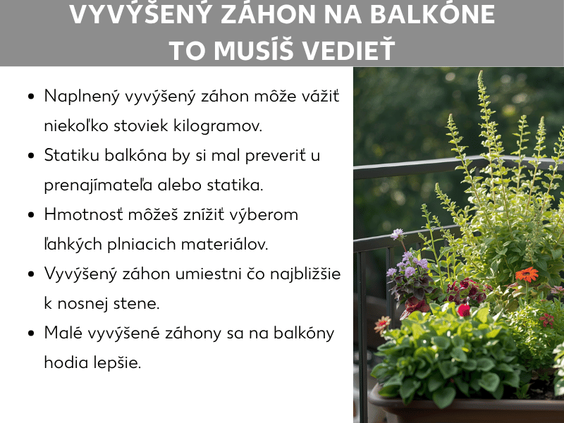 Infografika: Vyvýšený záhon na balkóne – čo by ste mali vedieť. Zoznam obsahuje päť bodov: 1. Naplnený vyvýšený záhon môže vážiť aj niekoľko sto kilogramov. 2. Statiku balkóna si overte u správcu budovy alebo statika. 3. Hmotnosť môžete znížiť výberom ľahkých plniacich materiálov. 4. Vyvýšený záhon umiestnite čo najbližšie k nosnej stene. 5. Malé vyvýšené záhony sú na balkón vhodnejšie. Vedľa je fotografia osadeného vyvýšeného záhona na balkóne s rôznymi kvitnúcimi rastlinami a bylinkami.