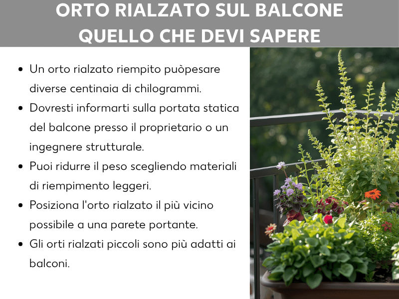 Infografica: orto rialzato sul balcone – quello che devi sapere. L'elenco comprende cinque punti: 1. Un orto rialzato pieno può pesare diverse centinaia di chilogrammi. 2. È importante verificare la statica del balcone con l'amministrazione o un ingegnere strutturista. 3. Si può ridurre il peso scegliendo materiali di riempimento leggeri. 4. Posiziona l'orto rialzato il più vicino possibile a una parete portante. 5. Gli orti rialzati di piccole dimensioni sono più adatti ai balconi. A destra, la foto di un orto rialzato su un balcone con diverse piante fiorite ed erbe aromatiche.