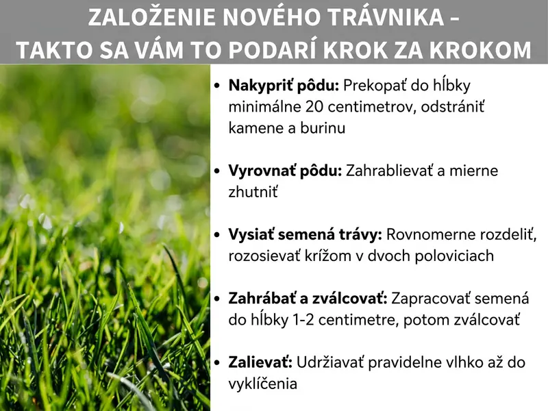 Infografika „Založenie trávnika – úspešne krok za krokom" s piatimi krokmi na zelenom trávnikovom pozadí: prekypriť pôdu, zarovnať povrch, vysiať trávové semená, zahrabať a zavalcovať, zalievať.