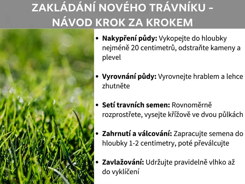 Infografika „Založení trávníku krok za krokem" s pěti kroky na pozadí zeleného trávníku: nakypření půdy, urovnání půdy, výsev travního semene, zahrábnutí a zaválcování, zavlažení.