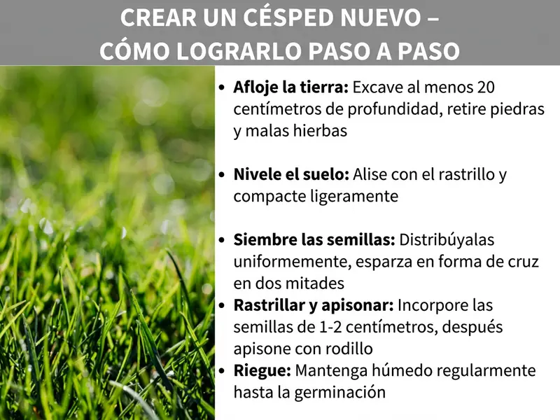 Infografía «Cómo sembrar césped — Paso a paso» con cinco pasos sobre un fondo de césped verde: ahuecar el suelo, nivelar el suelo, sembrar las semillas de césped, rastrillar y pasar el rodillo, regar.