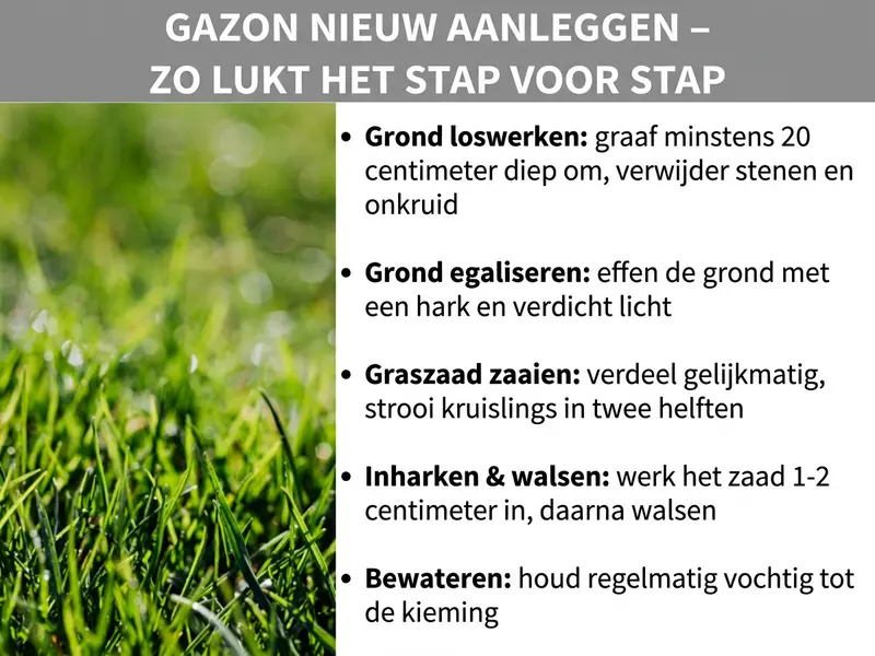 Infographic "Gazon aanleggen – zo pak je het stap voor stap aan" met vijf stappen op een groene gazonachtergrond: bodem losmaken, bodem egaliseren, graszaad zaaien, inharken en walsen, bewateren.