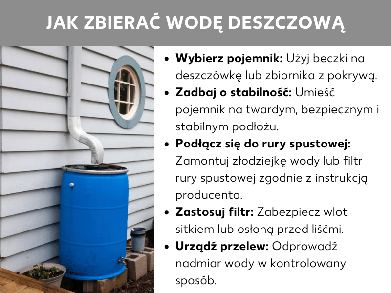Infografika pokazująca, jak zbierać deszczówkę, z niebieską beczką i 5 krokami instalacji