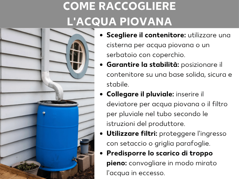 Infografica: infografica sulla raccolta dell'acqua piovana con la foto di un bidone blu accanto a un pluviale, e cinque passaggi: scegliere il contenitore, garantire la stabilità, collegare il pluviale, usare un filtro e predisporre il troppopieno