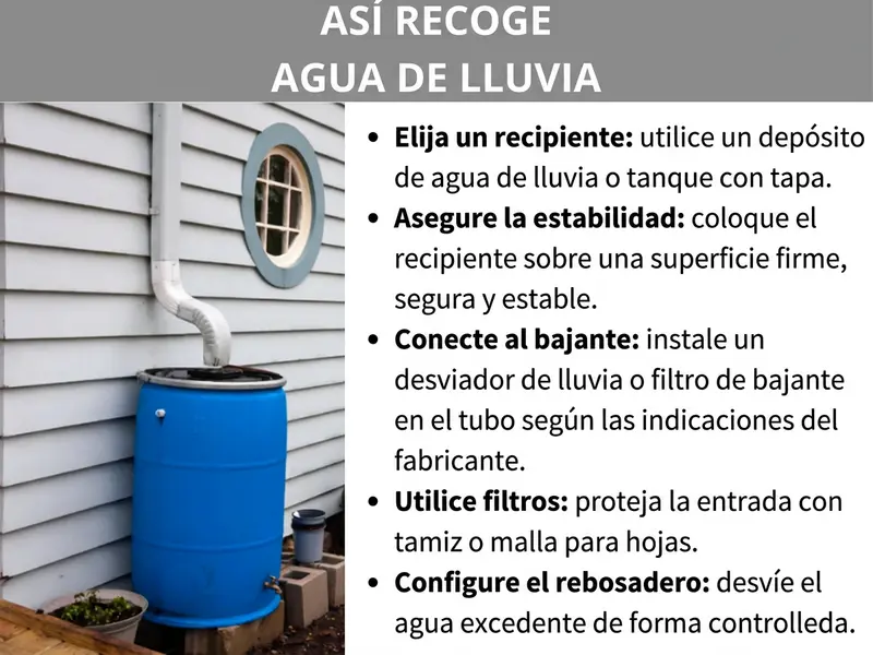 Infografía: infografía sobre la recogida de agua de lluvia con una foto de un bidón azul junto a un tubo de bajada de una vivienda, así como cinco pasos: elegir el recipiente, garantizar la estabilidad, conectar el bajante, usar un filtro e instalar el rebosadero.