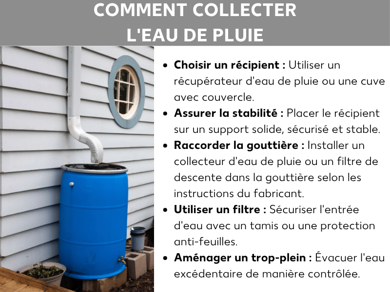 Infographie montrant comment récupérer l'eau de pluie avec la photo d'un récupérateur bleu placé près d'une descente de gouttière, accompagnée de cinq étapes : choisir le contenant, assurer la stabilité, raccorder la gouttière, utiliser un filtre et installer un trop-plein.