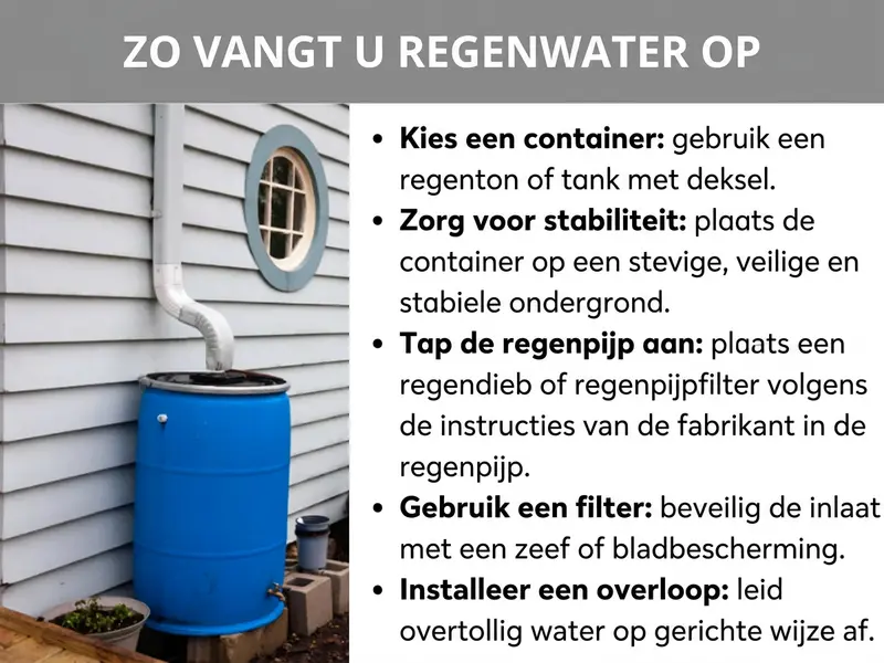 Infographic: Infographic over het opvangen van regenwater met een foto van een blauwe regenton naast een regenpijp, en vijf stappen: bak kiezen, voor stabiliteit zorgen, regenpijp aftappen, filter gebruiken en overloop inrichten.