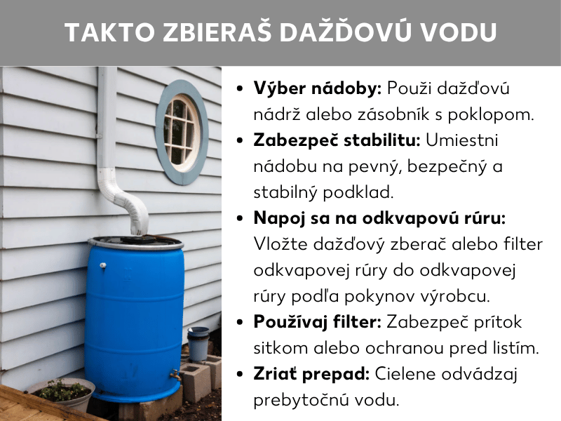 Infografika: Infografika k zberu dažďovej vody s fotografiou modrého zberného suda vedľa odtokového zvodu a piatimi krokmi: výber nádoby, zabezpečenie stability, napojenie na zvod, použitie filtra a zriadenie prepadu.