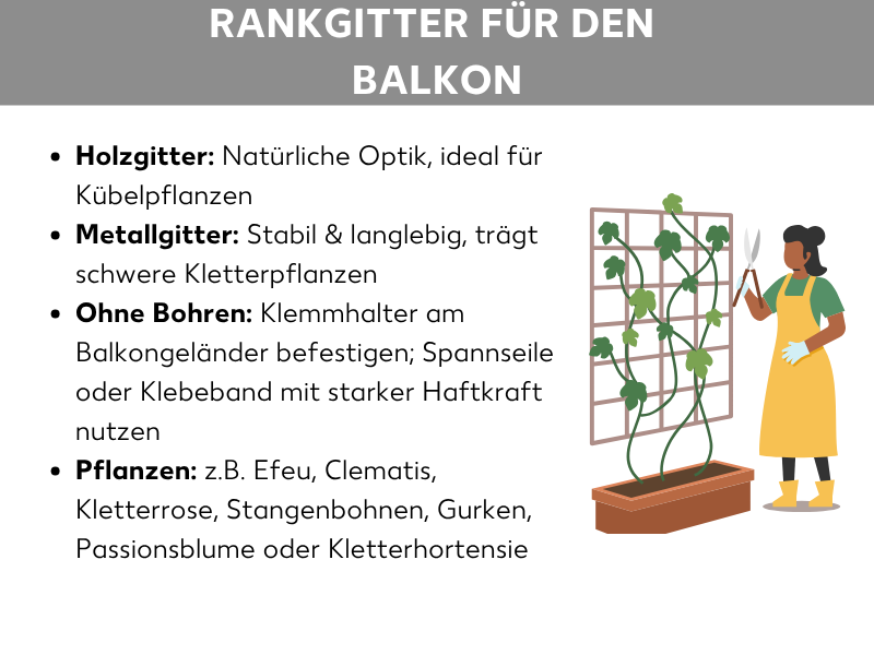 Infografik mit vier Stichpunkten zu Balkon-Rankgittern: Holzgitter (natürliche Optik, ideal für Kübelpflanzen), Metallgitter (stabil und langlebig, für schwere Kletterpflanzen), Befestigung ohne Bohren (Klemmhalter, Spannseile oder Klebeband) sowie geeignete Pflanzen (z. B. Efeu, Clematis, Kletterrose, Stangenbohnen, Gurken, Passionsblume, Kletterhortensie). Rechts eine Illustration einer Frau mit gelber Schürze und Gartenhandschuhen neben einem Rankgitter mit Kletterpflanze in einem Balkonkasten.