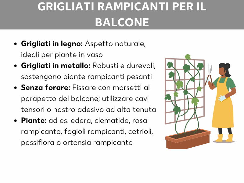Infografica con quattro punti chiave sulle spaliere da balcone: graticcio in legno (aspetto naturale, ideale per piante in vaso), graticcio in metallo (robusto e durevole, per rampicanti pesanti), fissaggio senza forare (morsetti, cavi tesi o nastro adesivo) e piante adatte (ad esempio edera, clematide, rosa rampicante, fagioli rampicanti, cetrioli, passiflora, ortensia rampicante). A destra, l'illustrazione di una persona con grembiule giallo e guanti da giardinaggio accanto a una spaliera con pianta rampicante in una fioriera da balcone.